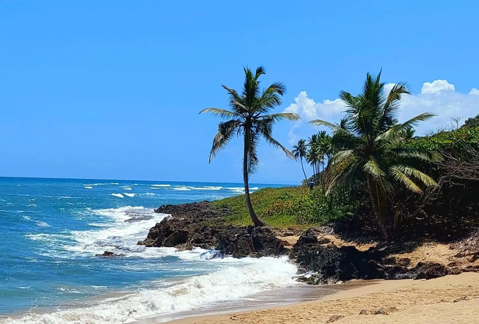 Encuentro Beach Studio- Residencia Ocean Winds Cabarete