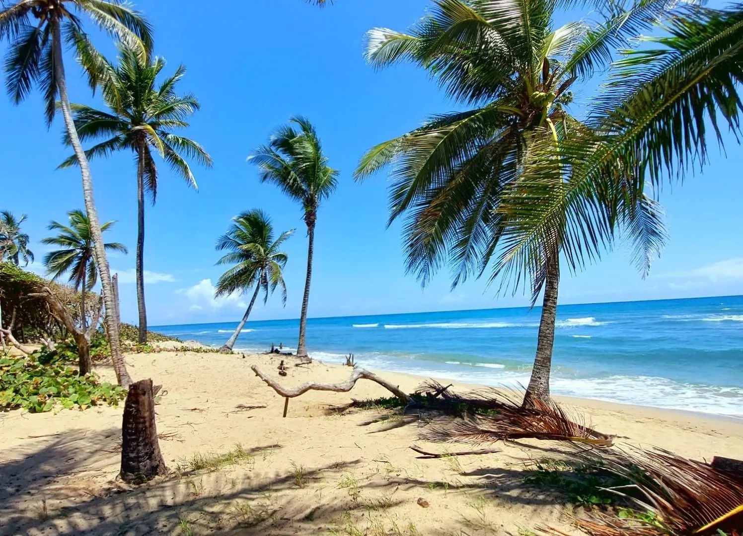 Encuentro Beach Studio- Residencia Ocean Winds Cabarete